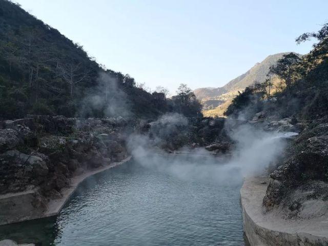 园丁逃生